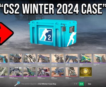 WE REVIEWED THE CS2 WINTER 2024 CASE...