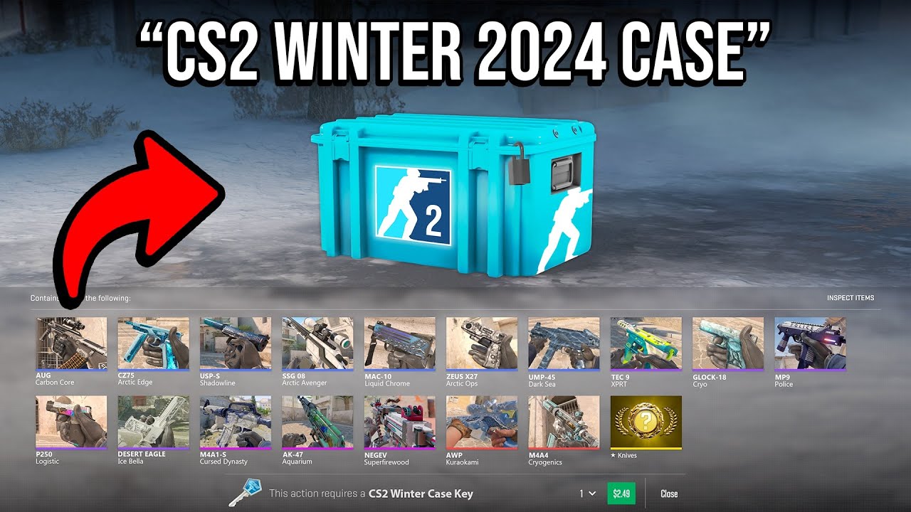 WE REVIEWED THE CS2 WINTER 2024 CASE... FPSHUB