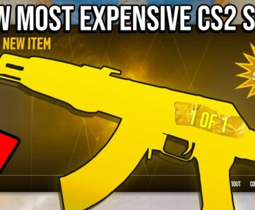 THIS IS THE NEW MOST EXPENSIVE CS2 SKIN?