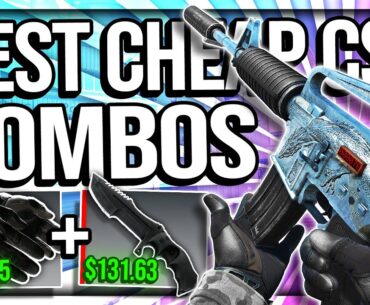 THE BEST CHEAP CS2 COMBOS! (KNIFE + GLOVE + AGENT)