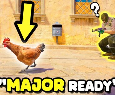 "THIS CHICKEN SHOULD GO TO MAJOR!" - CS2 BEST MOMENTS