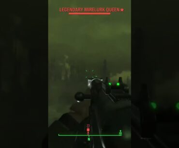 Fallout 4 The queen of Far Harbor