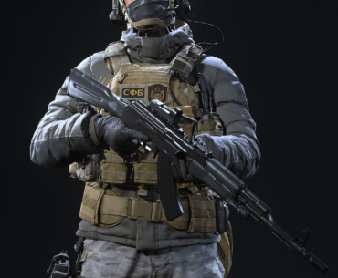 What Plate Carrier and PC Accessories does The Bale Protectorate Skin Have from MW19???