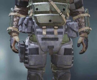 Can someone help me find the gear used in this skin?