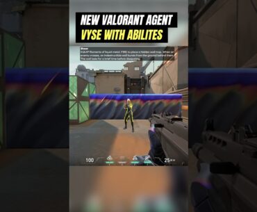 New Valorant Agent Vyse With All Abilities