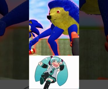 MIKU HATSUNE CHIPI CHIPI CHAPA CHAPA SPONGEBOB EXE FAMILY in Garry's Mod !!