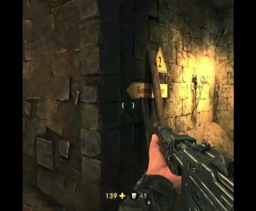 Killing Nazis and their Nazi Dogs. Fast Paced FPS. #gaming #fpsgames