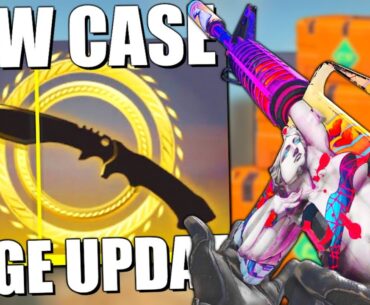 OPENING THE NEW GALLERY CASE (ARMORY UPDATE) | TDM_Heyzeus