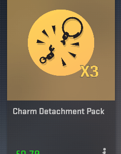 You need to pay to remove charms from a skin