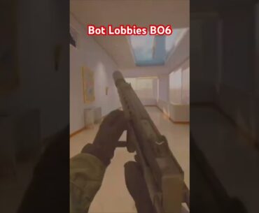 How to Get Bot Lobbies in Black ops6