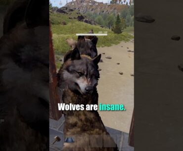 Wolves Are Terrifying in Rust! One Thing Can Stop Them...Sorta... #rust #rustshorts #rusttips